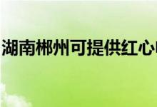 湖南郴州可提供紅心電餅鐺維修服務(wù)地址在哪