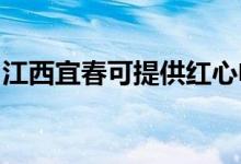 江西宜春可提供紅心電餅鐺維修服務(wù)地址在哪