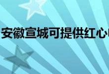 安徽宣城可提供紅心電餅鐺維修服務(wù)地址在哪