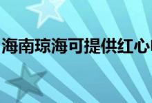 海南瓊?？商峁┘t心電餅鐺維修服務(wù)地址在哪