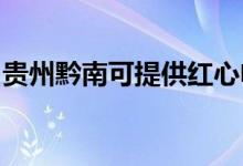 貴州黔南可提供紅心電餅鐺維修服務(wù)地址在哪