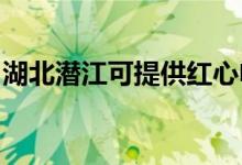 湖北潛江可提供紅心電餅鐺維修服務(wù)地址在哪