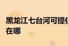 黑龍江七臺(tái)河可提供紅心電餅鐺維修服務(wù)地址在哪