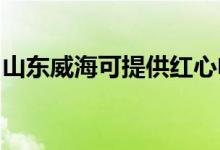 山東威海可提供紅心電餅鐺維修服務(wù)地址在哪