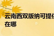 云南西雙版納可提供康佳電餅鐺維修服務地址在哪