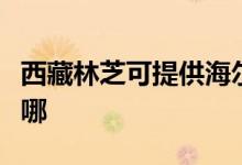 西藏林芝可提供海爾電壓力鍋維修服務(wù)地址在哪