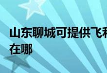 山東聊城可提供飛利浦電壓力鍋維修服務地址在哪