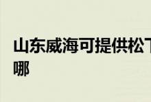 山東威?？商峁┧上码妷毫﹀伨S修服務(wù)地址在哪