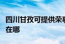 四川甘孜可提供榮事達電壓力鍋維修服務地址在哪