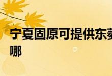 寧夏固原可提供東菱電壓力鍋維修服務地址在哪