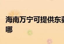 海南萬寧可提供東菱電壓力鍋維修服務地址在哪