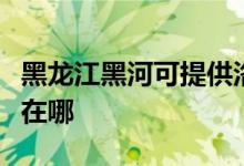 黑龍江黑河可提供洛貝電壓力鍋維修服務地址在哪