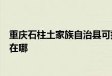 重慶石柱土家族自治縣可提供伊立浦電壓力鍋維修服務地址在哪