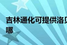 吉林通化可提供洛貝電壓力鍋維修服務地址在哪