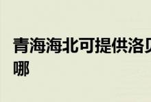 青海海北可提供洛貝電壓力鍋維修服務地址在哪