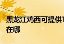 黑龍江雞西可提供TCL電壓力鍋維修服務地址在哪