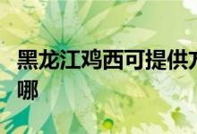 黑龍江雞西可提供方太燃氣灶維修服務(wù)地址在哪