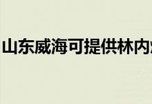 山東威?？商峁┝謨?nèi)燃?xì)庠罹S修服務(wù)地址在哪