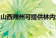 山西朔州可提供林內(nèi)燃?xì)庠罹S修服務(wù)地址在哪