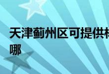 天津薊州區(qū)可提供林內(nèi)燃?xì)庠罹S修服務(wù)地址在哪