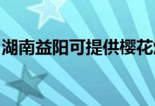 湖南益陽可提供櫻花燃?xì)庠罹S修服務(wù)地址在哪