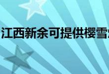 江西新余可提供櫻雪燃氣灶維修服務地址在哪