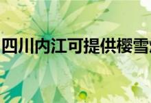 四川內(nèi)江可提供櫻雪燃氣灶維修服務地址在哪