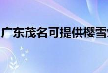 廣東茂名可提供櫻雪燃氣灶維修服務地址在哪