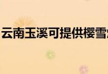 云南玉溪可提供櫻雪燃氣灶維修服務地址在哪