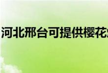 河北邢臺可提供櫻花燃?xì)庠罹S修服務(wù)地址在哪