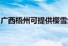 廣西梧州可提供櫻雪燃氣灶維修服務地址在哪