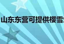 山東東營可提供櫻雪燃氣灶維修服務地址在哪