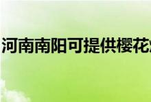 河南南陽可提供櫻花燃?xì)庠罹S修服務(wù)地址在哪