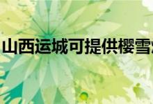 山西運城可提供櫻雪燃氣灶維修服務地址在哪
