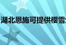 湖北恩施可提供櫻雪燃氣灶維修服務地址在哪