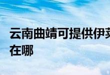 云南曲靖可提供伊萊克斯燃氣灶維修服務(wù)地址在哪
