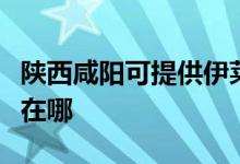 陜西咸陽可提供伊萊克斯燃氣灶維修服務(wù)地址在哪