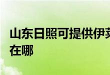 山東日照可提供伊萊克斯燃氣灶維修服務(wù)地址在哪