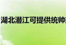 湖北潛江可提供統(tǒng)帥熱水器維修服務地址在哪