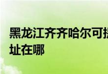 黑龍江齊齊哈爾可提供林內(nèi)熱水器維修服務(wù)地址在哪