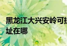 黑龍江大興安嶺可提供統(tǒng)帥熱水器維修服務地址在哪