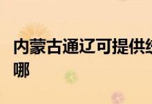 內蒙古通遼可提供統(tǒng)帥熱水器維修服務地址在哪