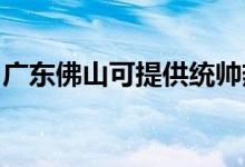 廣東佛山可提供統(tǒng)帥熱水器維修服務地址在哪