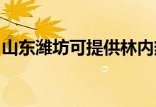 山東濰坊可提供林內(nèi)熱水器維修服務(wù)地址在哪