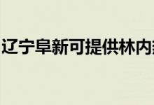 遼寧阜新可提供林內(nèi)熱水器維修服務(wù)地址在哪