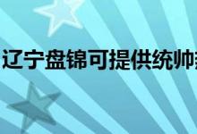遼寧盤錦可提供統(tǒng)帥熱水器維修服務地址在哪