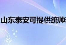 山東泰安可提供統(tǒng)帥熱水器維修服務地址在哪