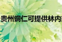 貴州銅仁可提供林內(nèi)熱水器維修服務(wù)地址在哪