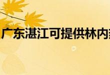 廣東湛江可提供林內(nèi)熱水器維修服務(wù)地址在哪