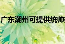 廣東潮州可提供統(tǒng)帥熱水器維修服務地址在哪